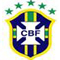 Camiseta Brasil 2024-2025